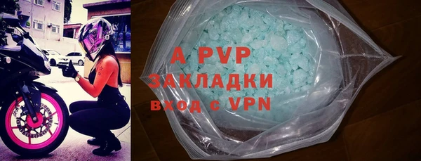 a pvp Белокуриха